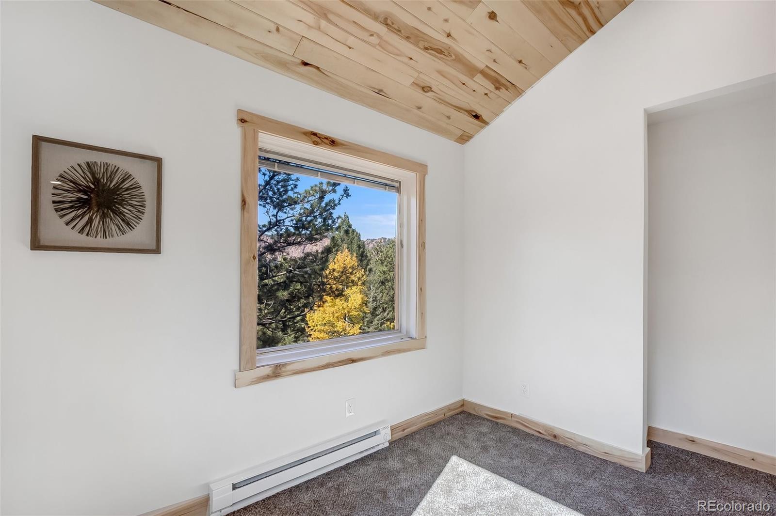 MLS Image #18 for 475  crystal drive,cripple creek, Colorado