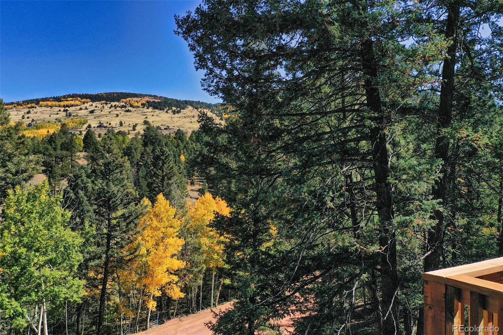 MLS Image #6 for 475  crystal drive,cripple creek, Colorado