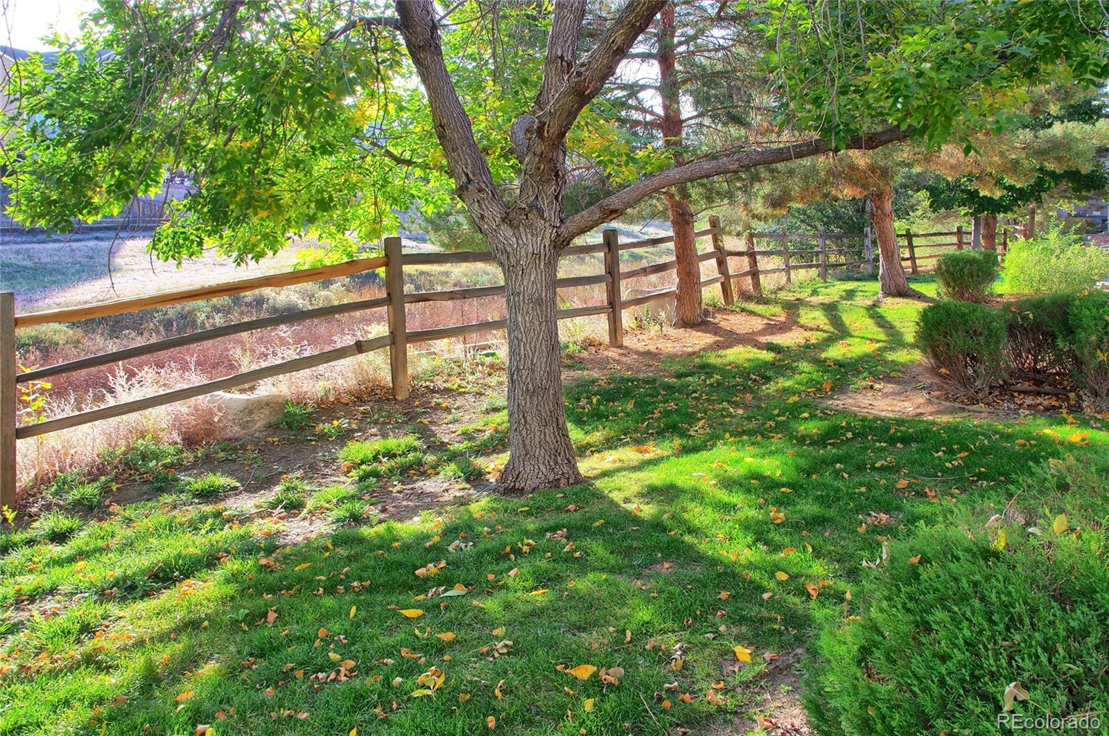 MLS Image #28 for 7824  sandy springs point,fountain, Colorado