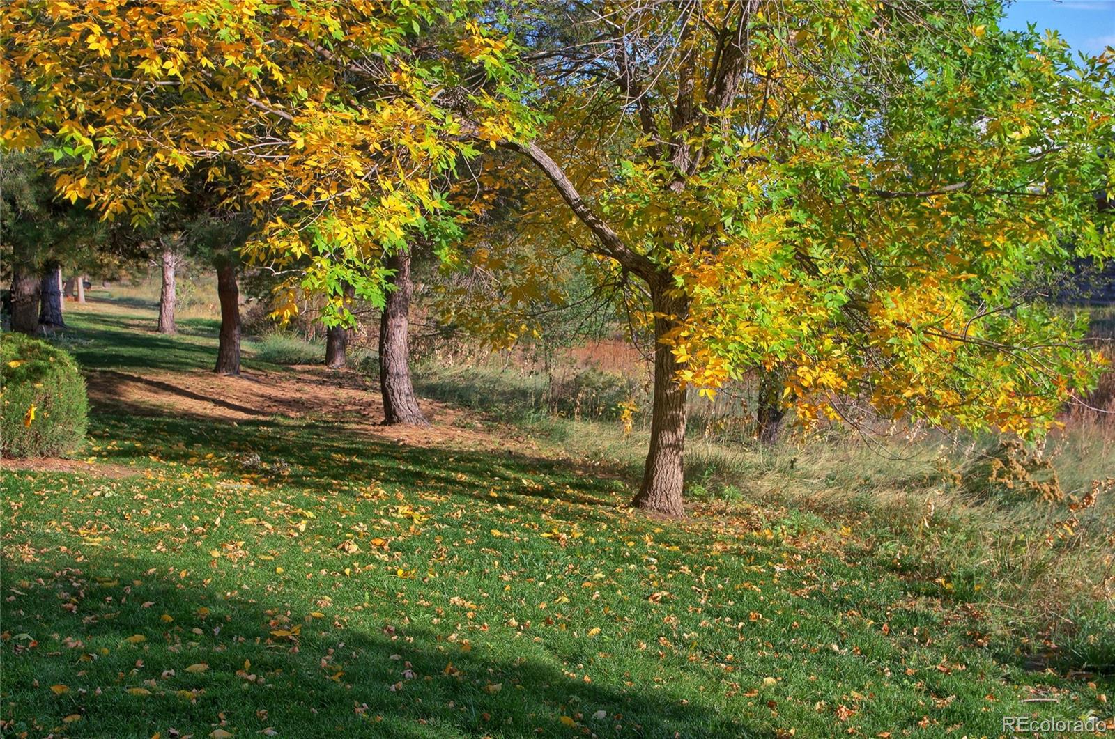 MLS Image #29 for 7824  sandy springs point,fountain, Colorado