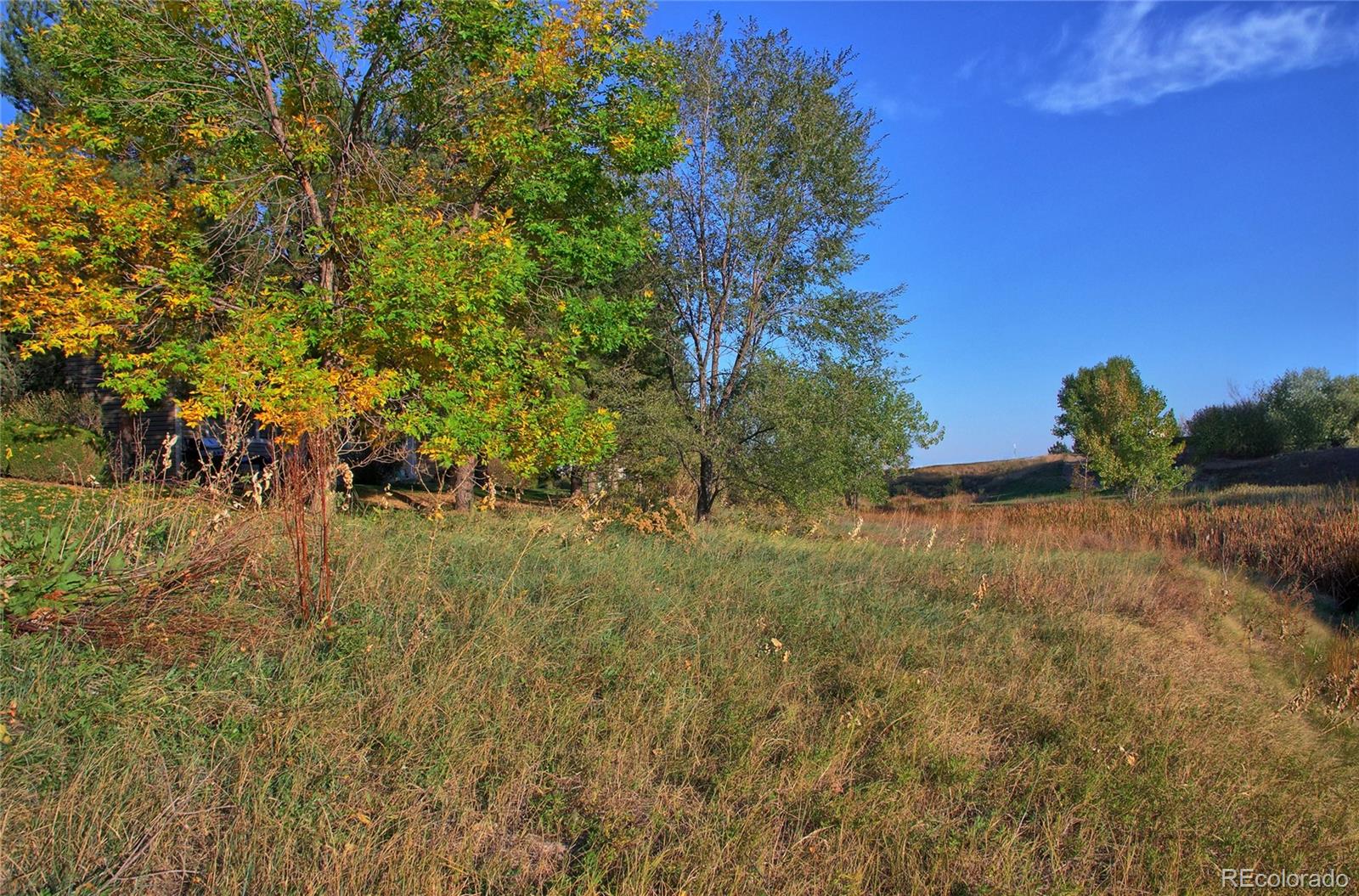 MLS Image #30 for 7824  sandy springs point,fountain, Colorado