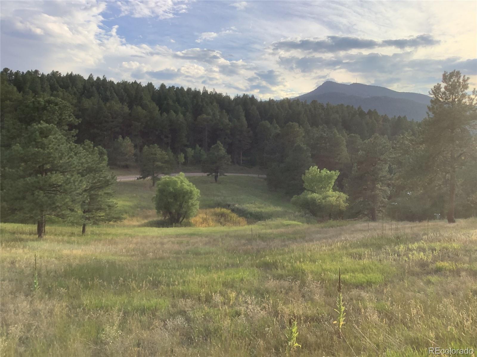 MLS Image #3 for 7552  surrey drive,morrison, Colorado