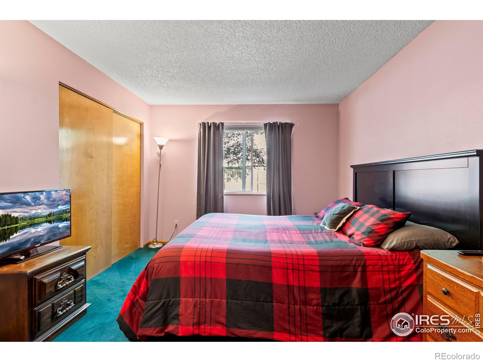 MLS Image #16 for 626  wadas court,johnstown, Colorado