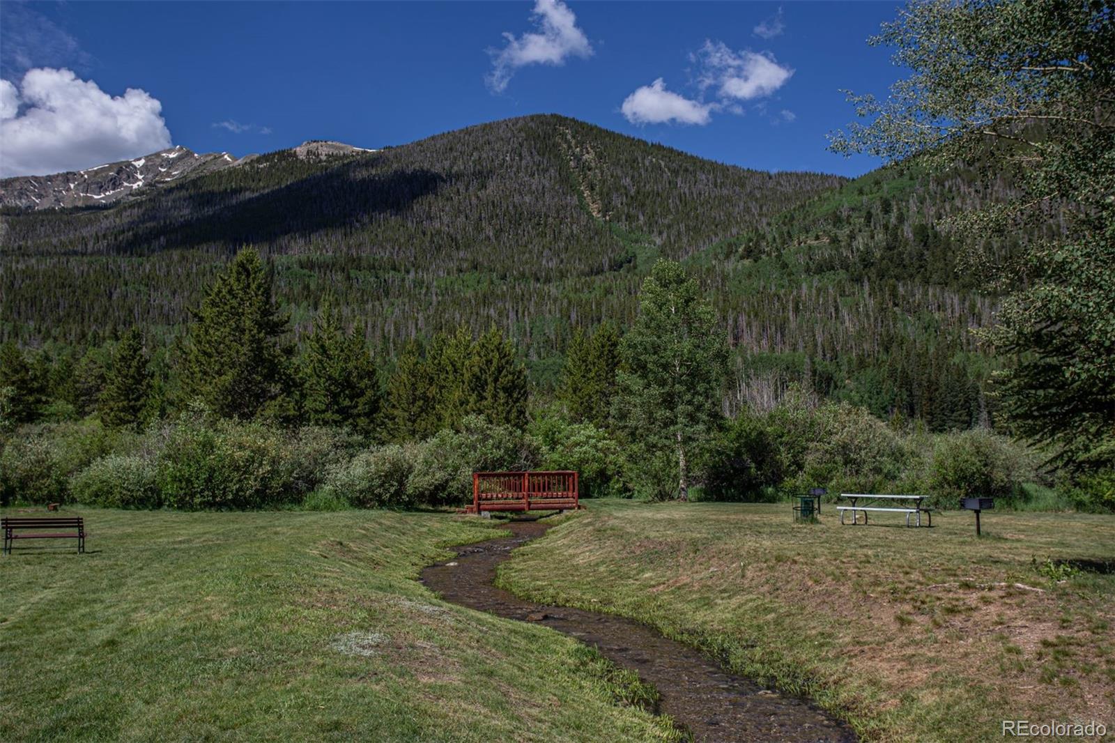 MLS Image #23 for 500  bills ranch road,frisco, Colorado