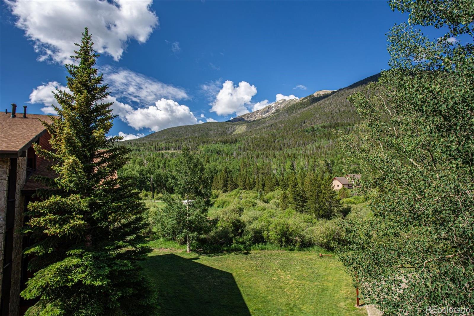 MLS Image #5 for 500  bills ranch road,frisco, Colorado