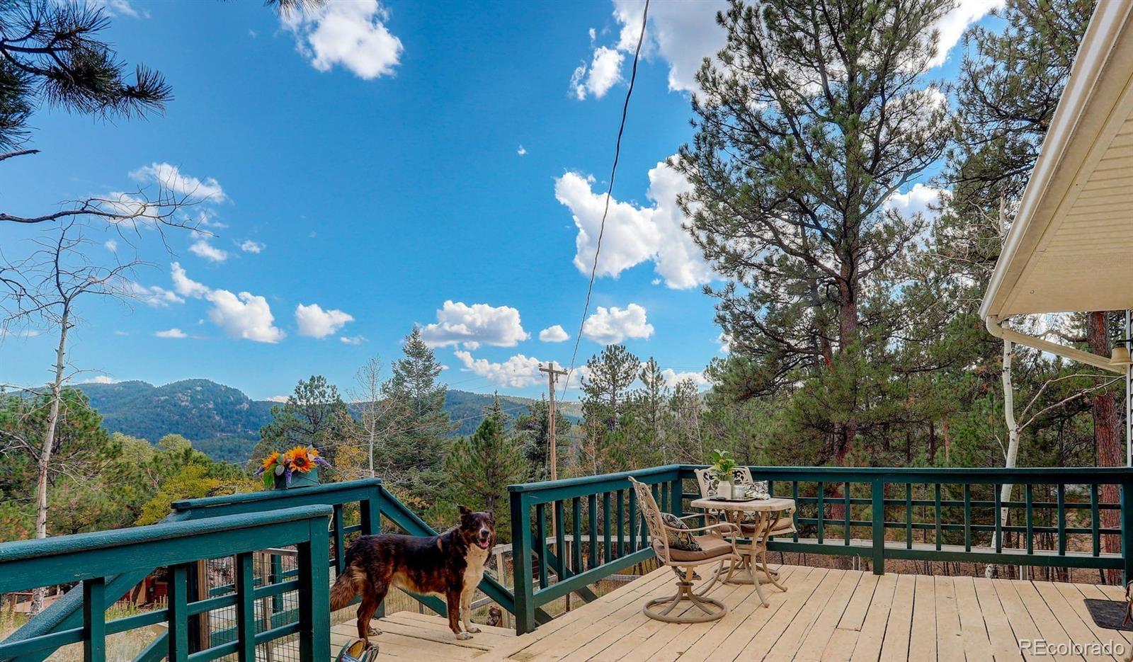 MLS Image #18 for 114  patty drive,evergreen, Colorado