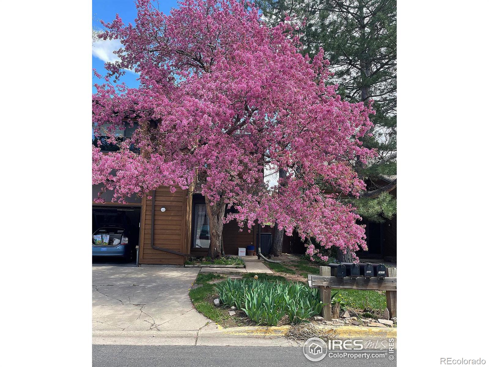 MLS Image #37 for 2647  juniper avenue,boulder, Colorado