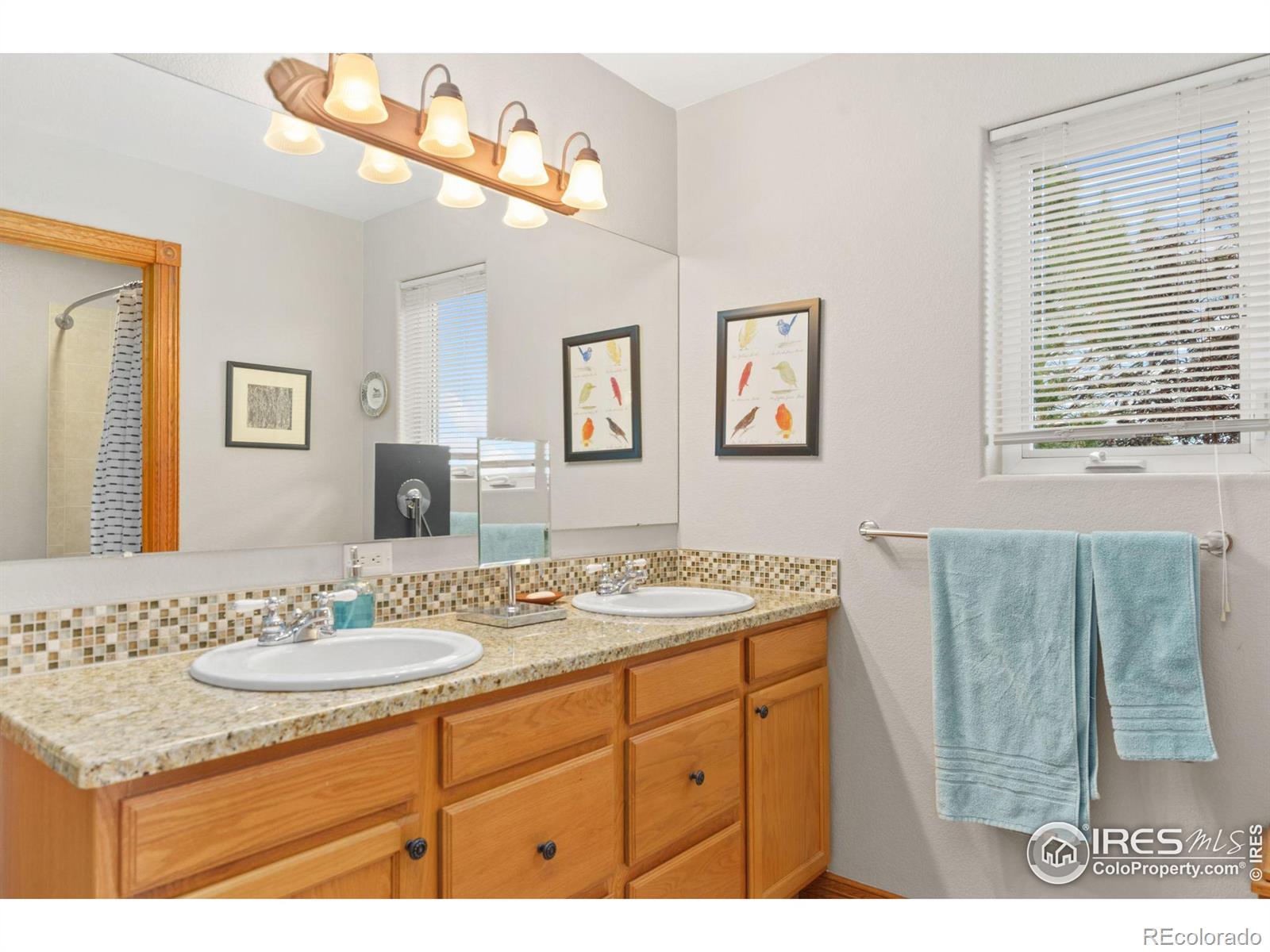 MLS Image #28 for 1338  catalpa drive,fort collins, Colorado