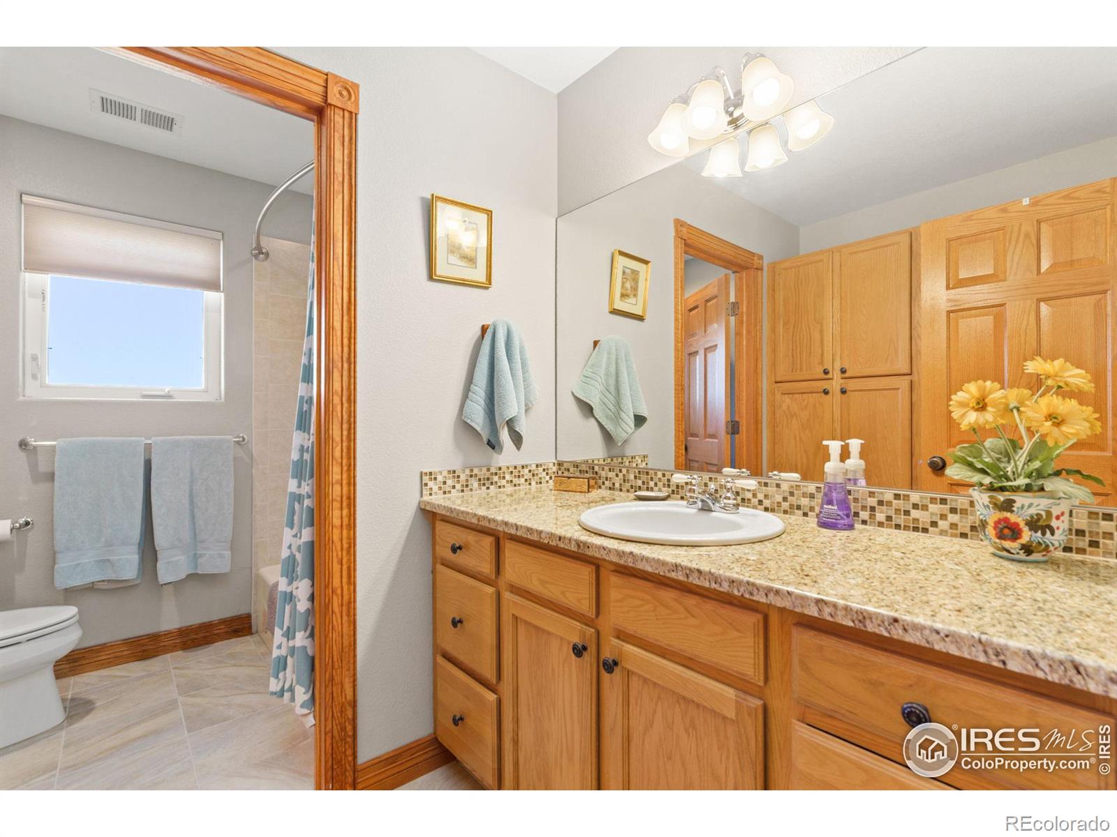 MLS Image #29 for 1338  catalpa drive,fort collins, Colorado