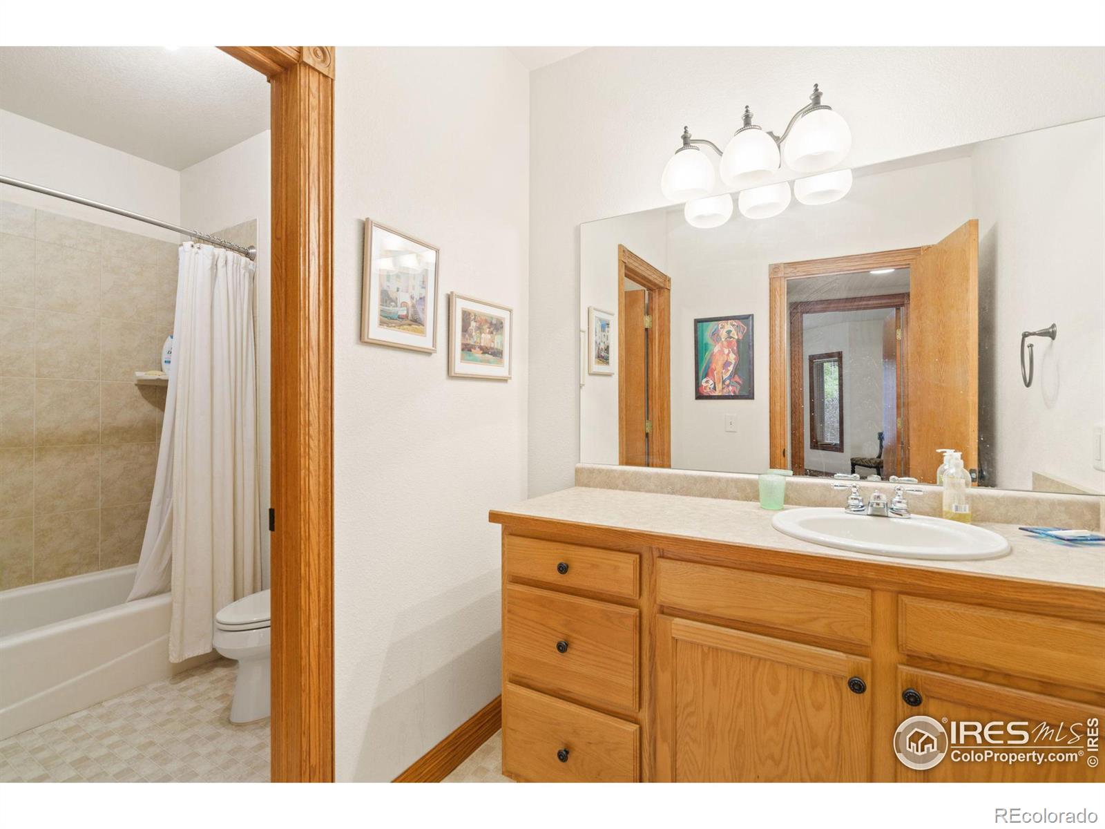 MLS Image #35 for 1338  catalpa drive,fort collins, Colorado