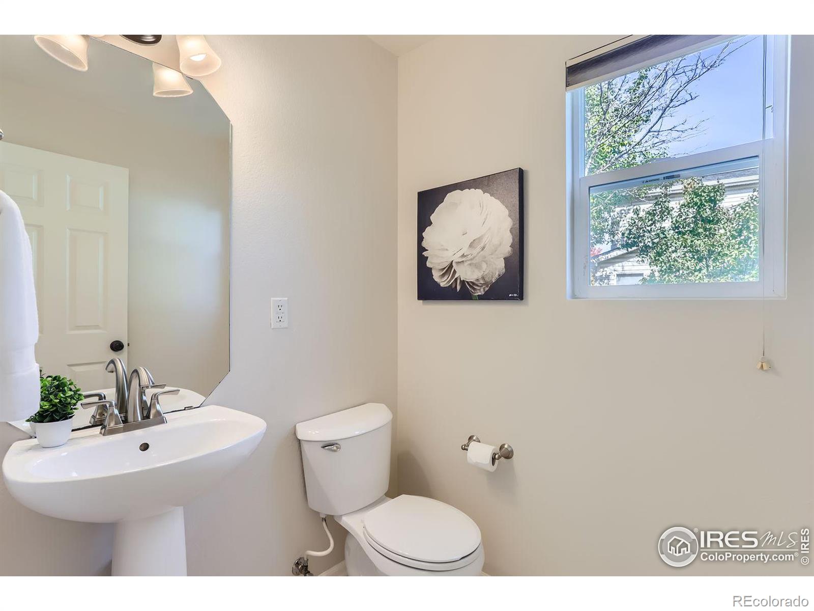 MLS Image #15 for 1202  fall river circle,longmont, Colorado