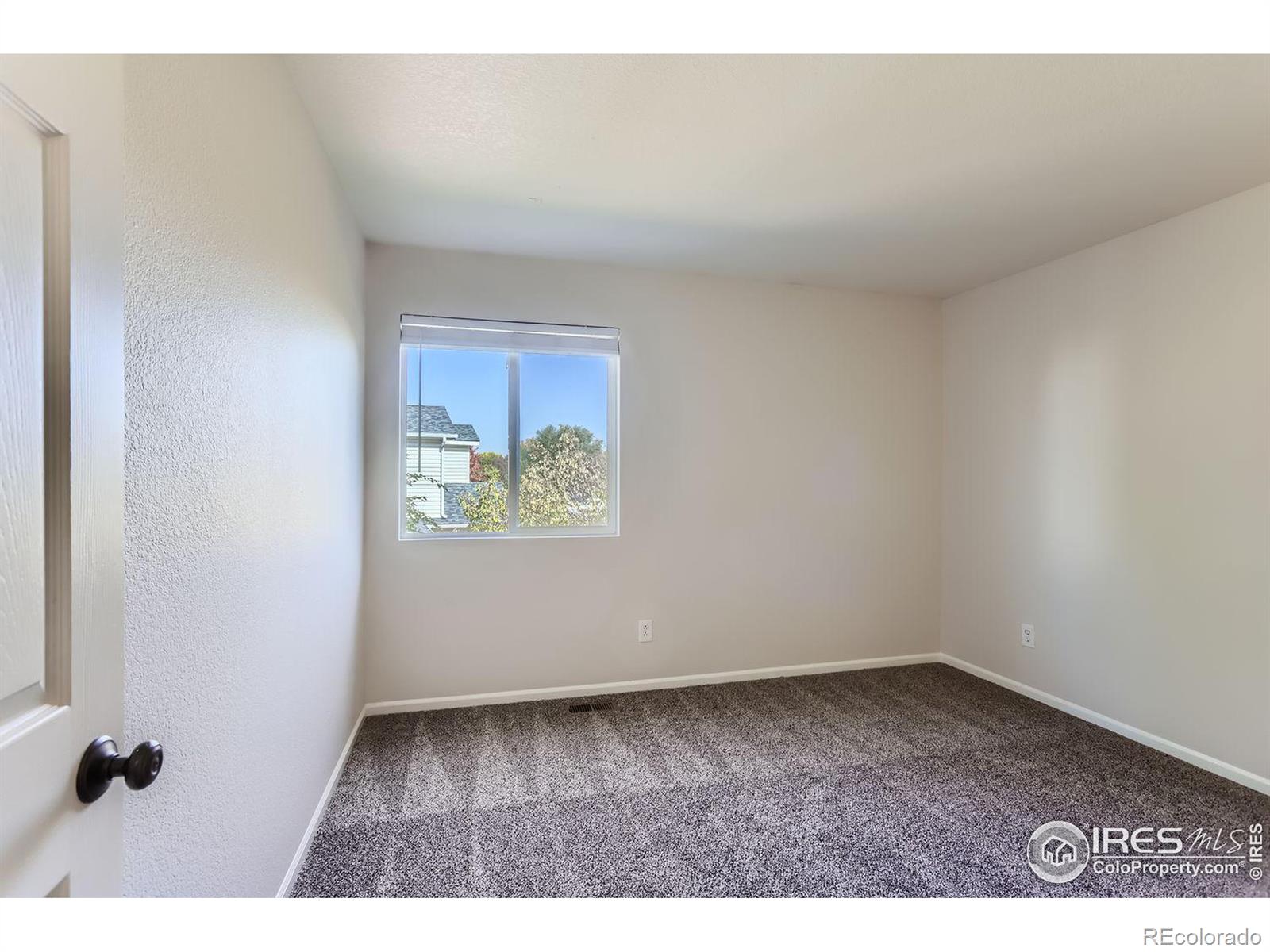 MLS Image #19 for 1202  fall river circle,longmont, Colorado