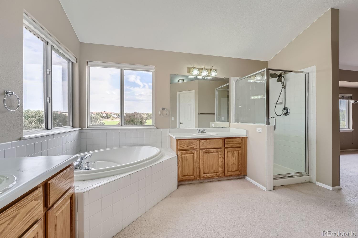 MLS Image #15 for 9357  lark sparrow drive,highlands ranch, Colorado