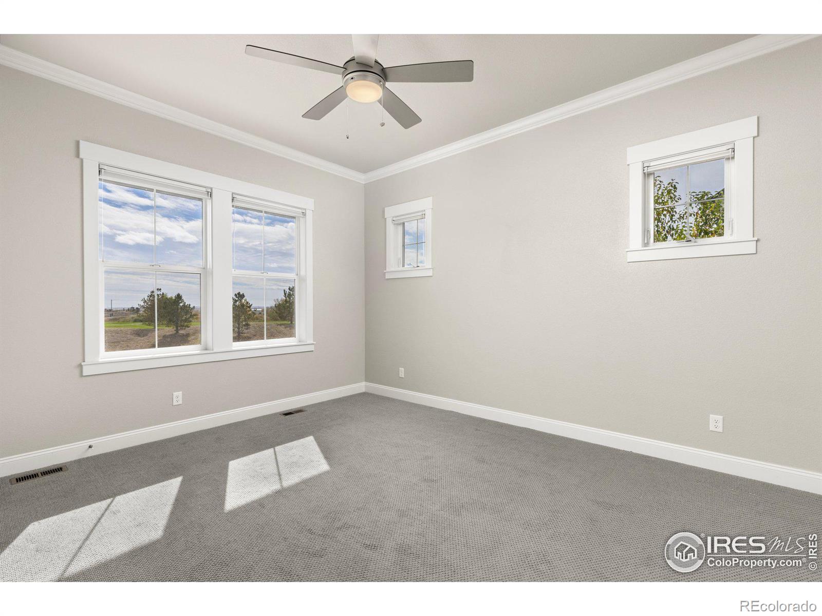 MLS Image #12 for 4300  ardglass lane,timnath, Colorado