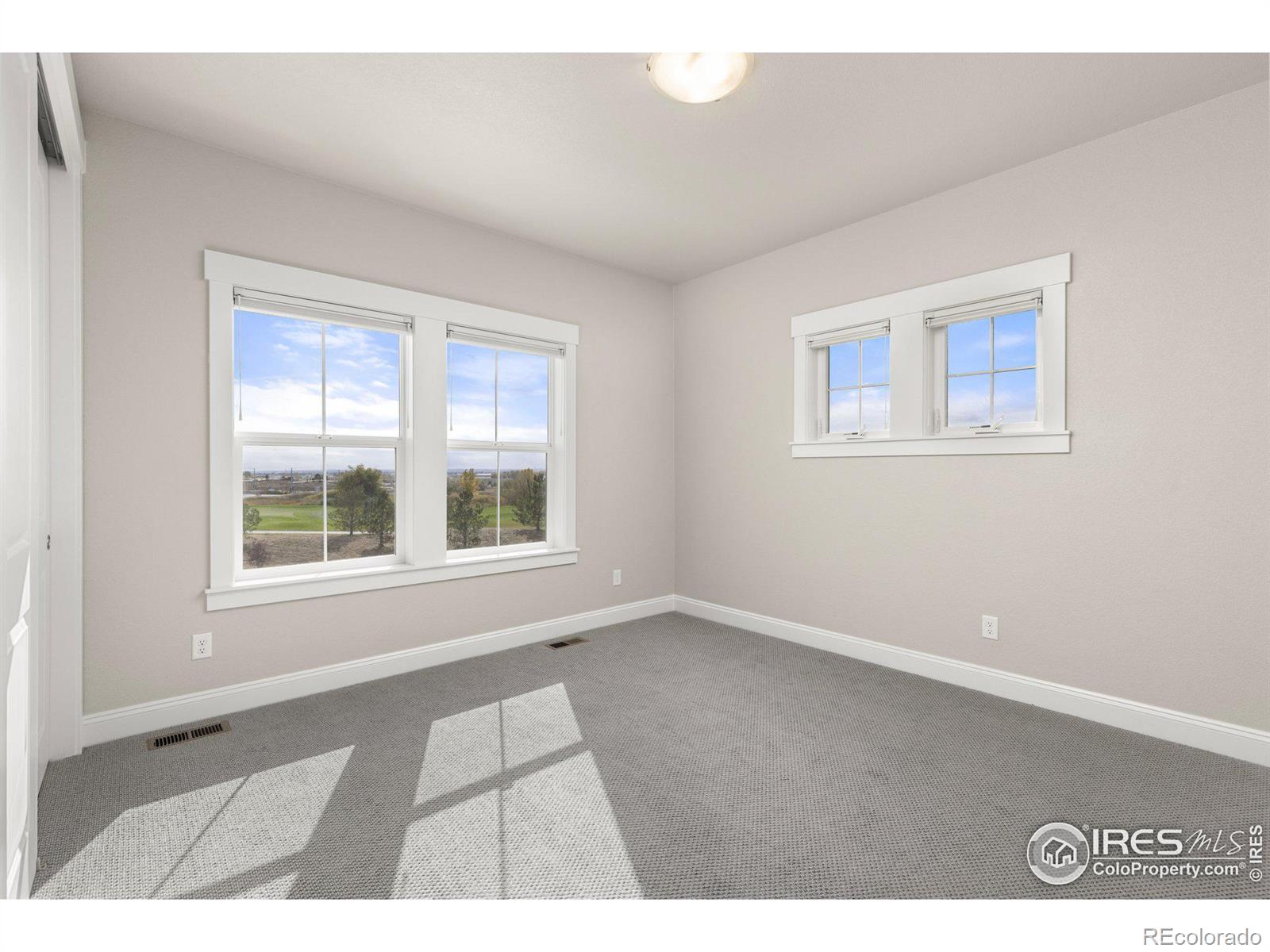 MLS Image #24 for 4300  ardglass lane,timnath, Colorado