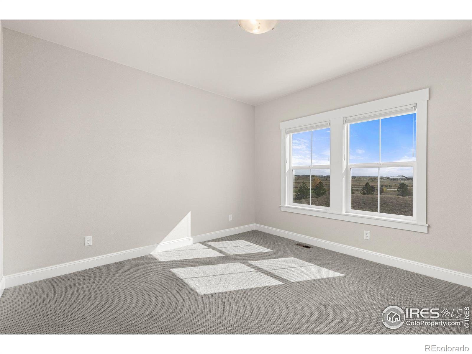 MLS Image #25 for 4300  ardglass lane,timnath, Colorado