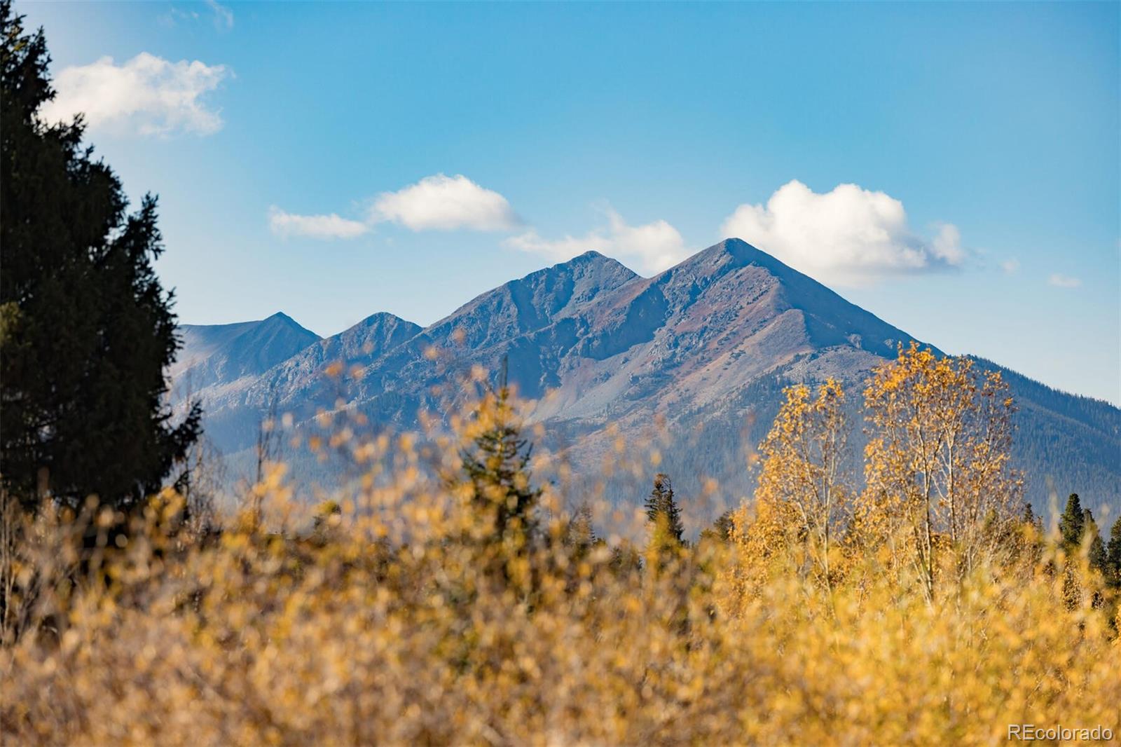 MLS Image #14 for 340  straight creek drive,dillon, Colorado