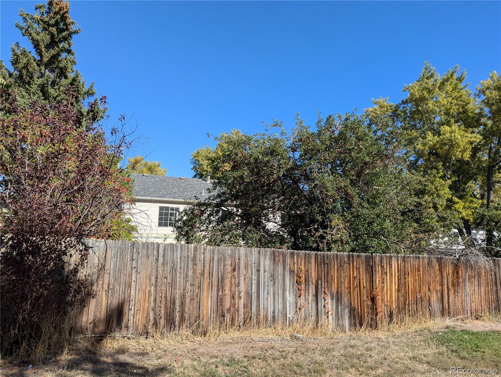 MLS Image #18 for 12424 w saratoga avenue,morrison, Colorado