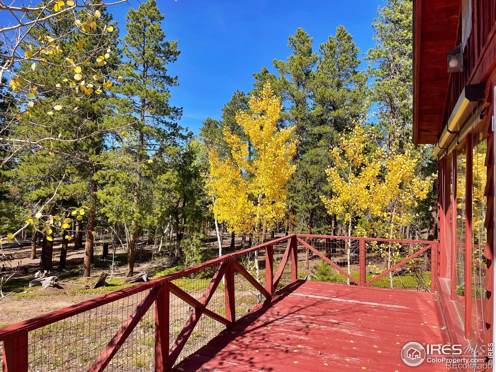 MLS Image #2 for 74  vera marie lane,rollinsville, Colorado