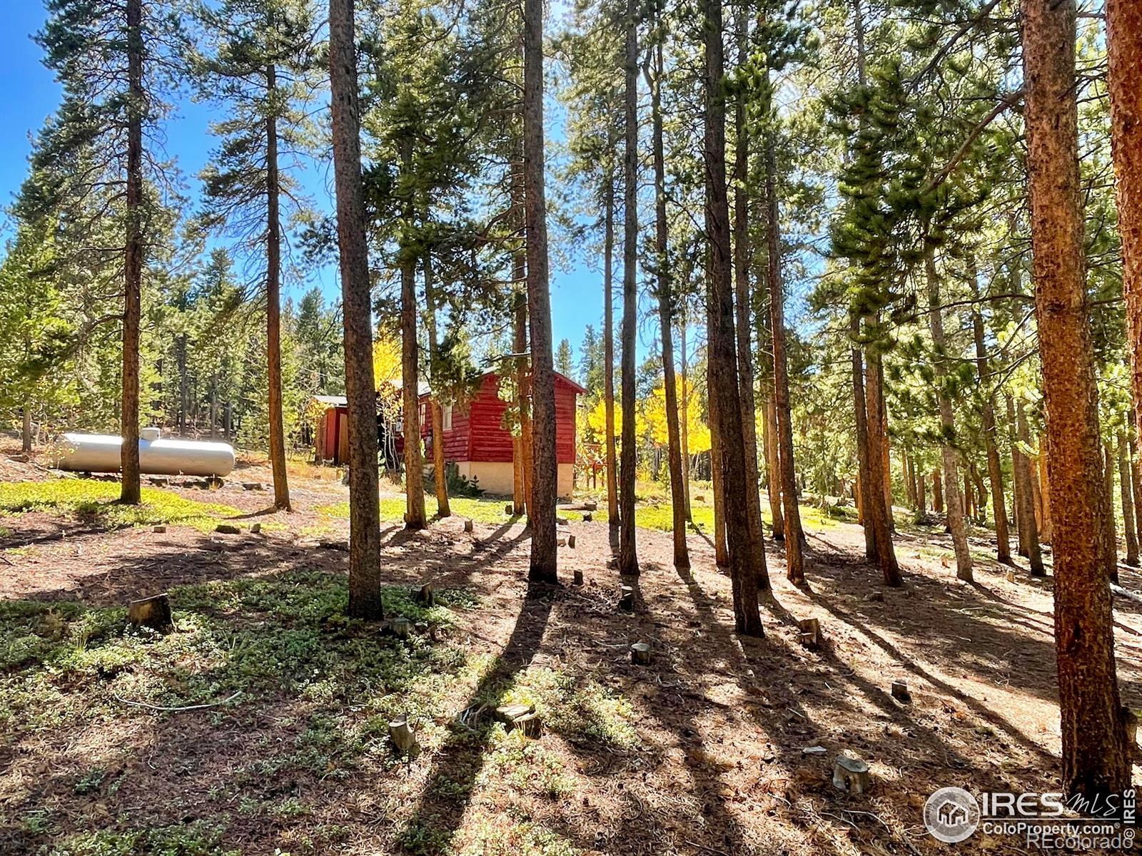 MLS Image #21 for 74  vera marie lane,rollinsville, Colorado