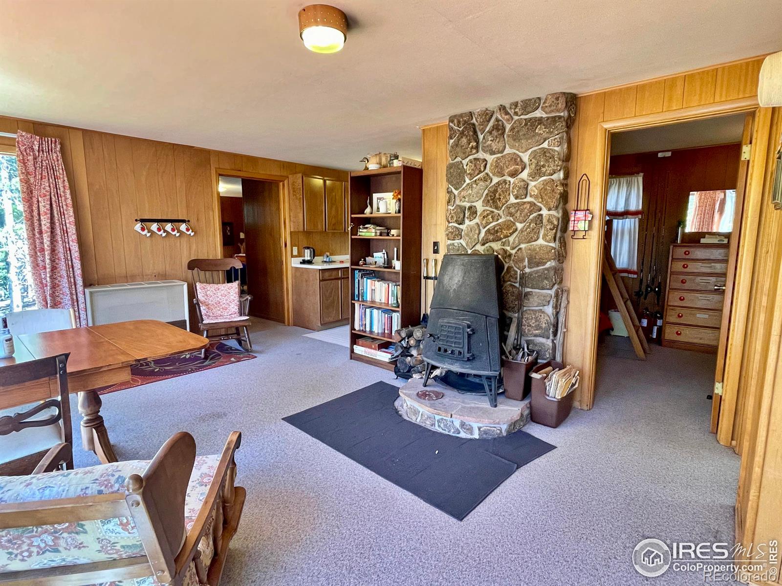 MLS Image #8 for 74  vera marie lane,rollinsville, Colorado