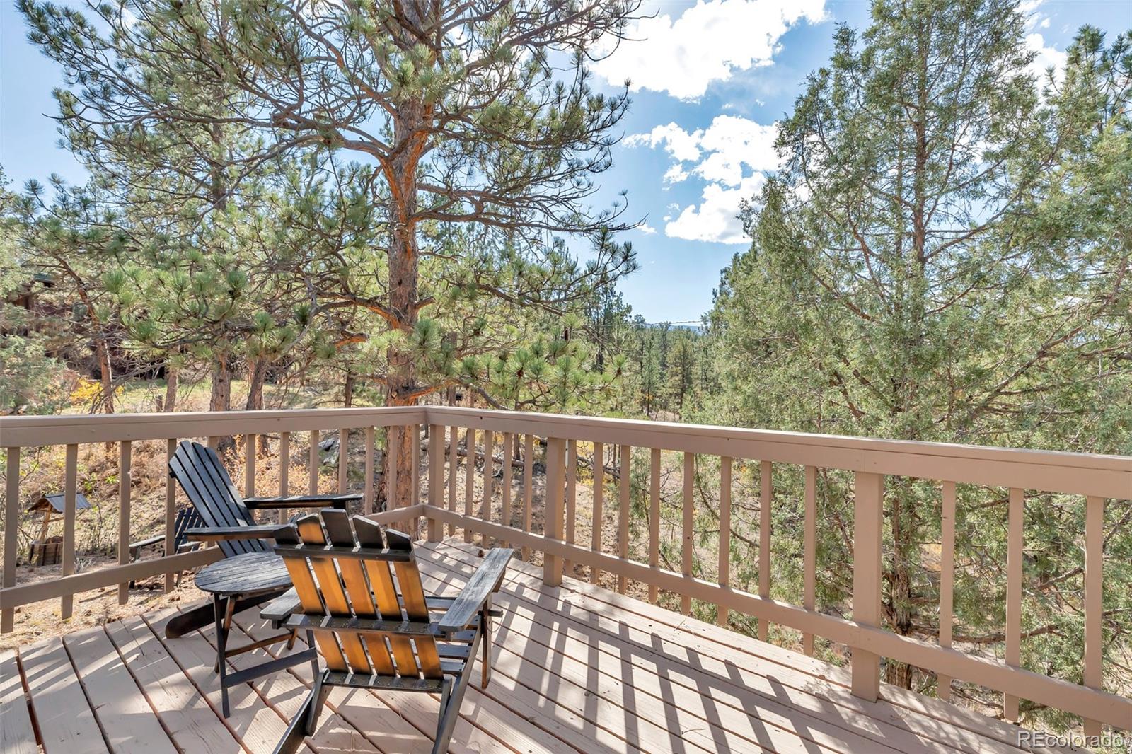 MLS Image #13 for 24123  lincoln avenue,buffalo creek, Colorado