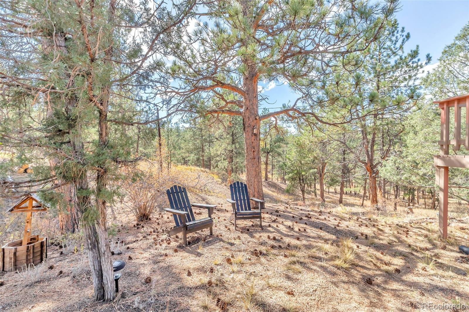 MLS Image #27 for 24123  lincoln avenue,buffalo creek, Colorado