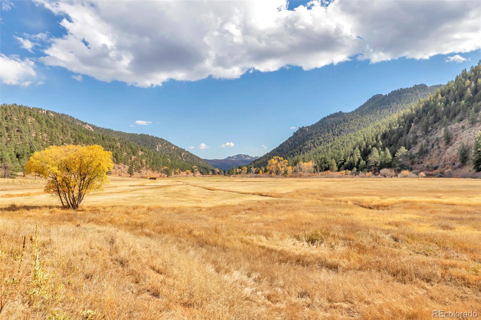 MLS Image #28 for 24123  lincoln avenue,buffalo creek, Colorado