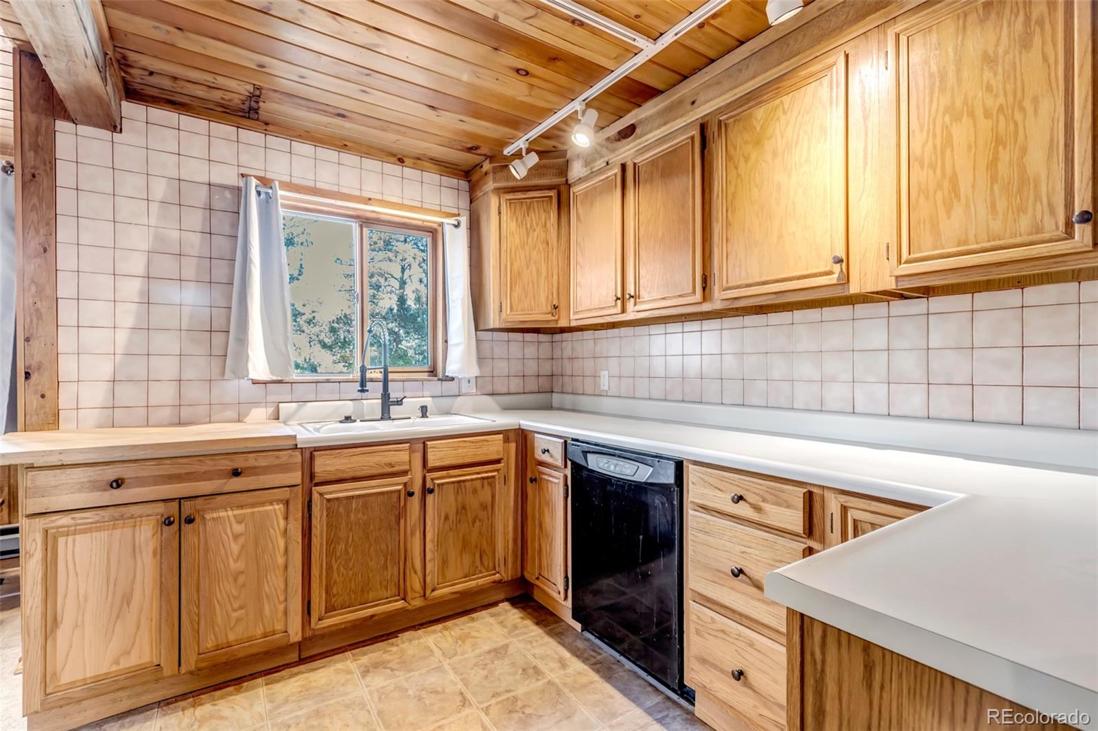 MLS Image #5 for 24123  lincoln avenue,buffalo creek, Colorado