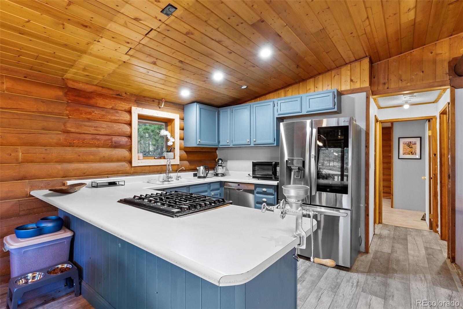 MLS Image #7 for 95  sioux trail,pine, Colorado