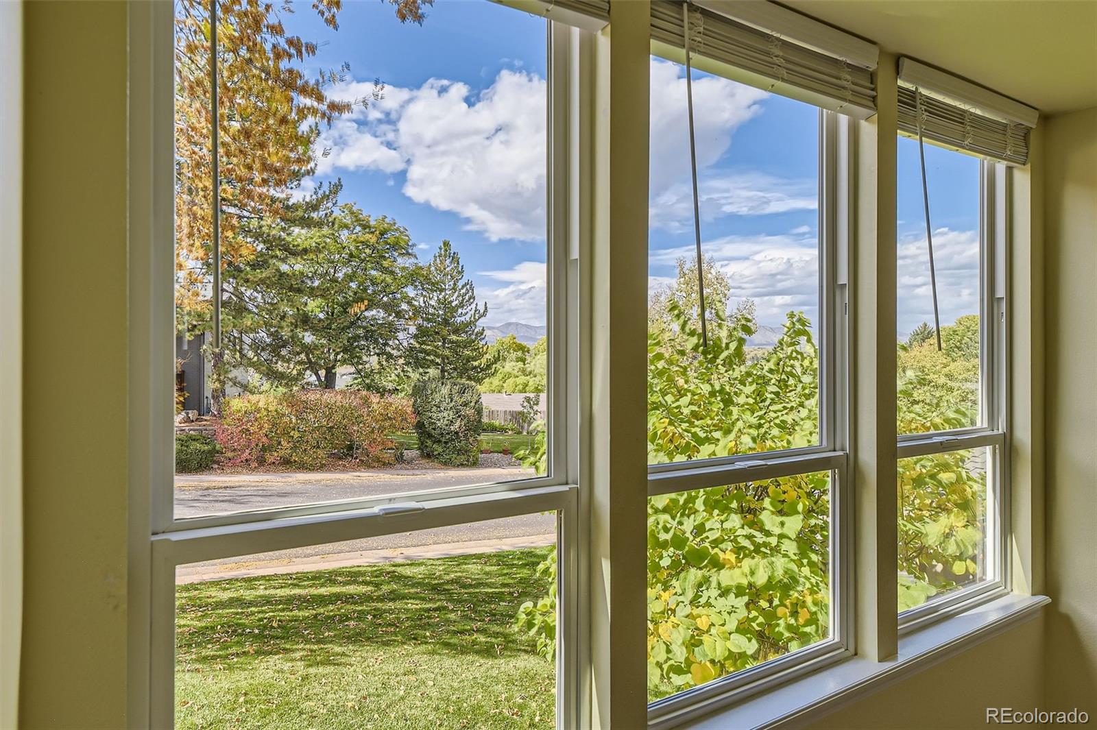 MLS Image #5 for 7232 s costilla street,littleton, Colorado