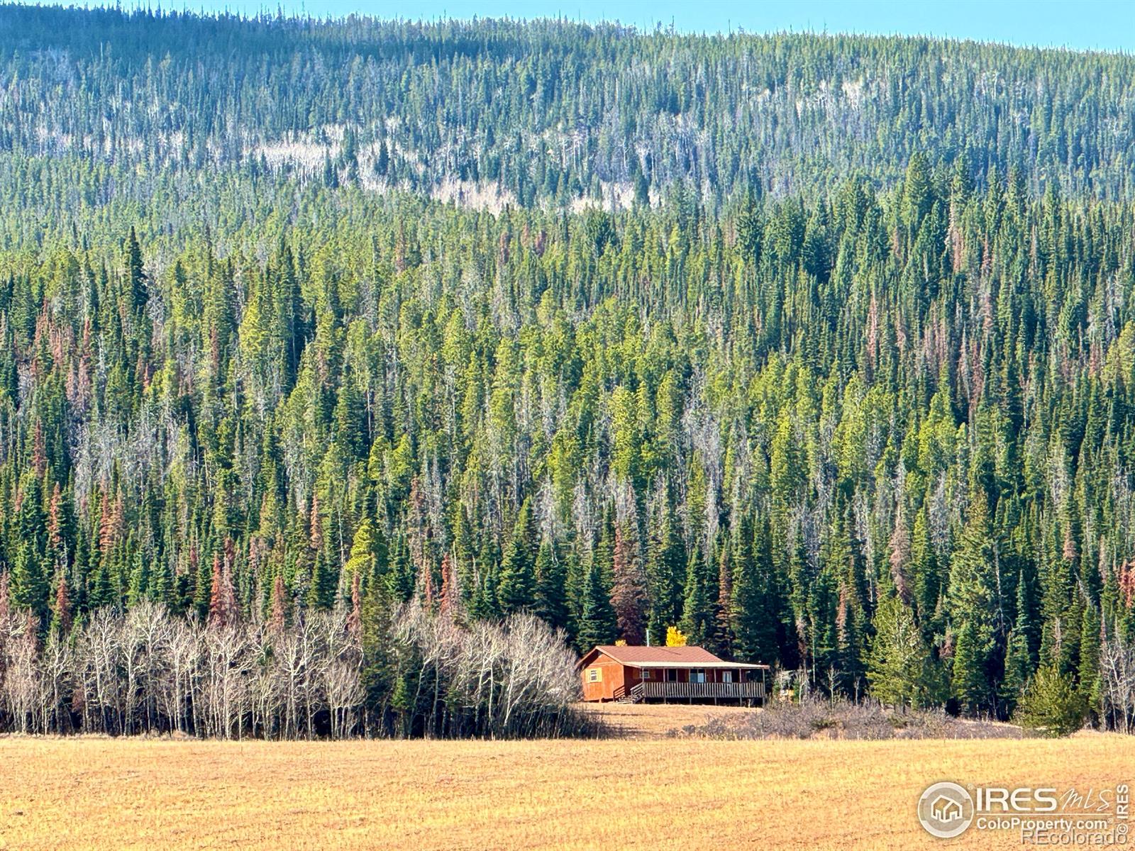 CMA Image for 235  Forb Lane,Red Feather Lakes, Colorado