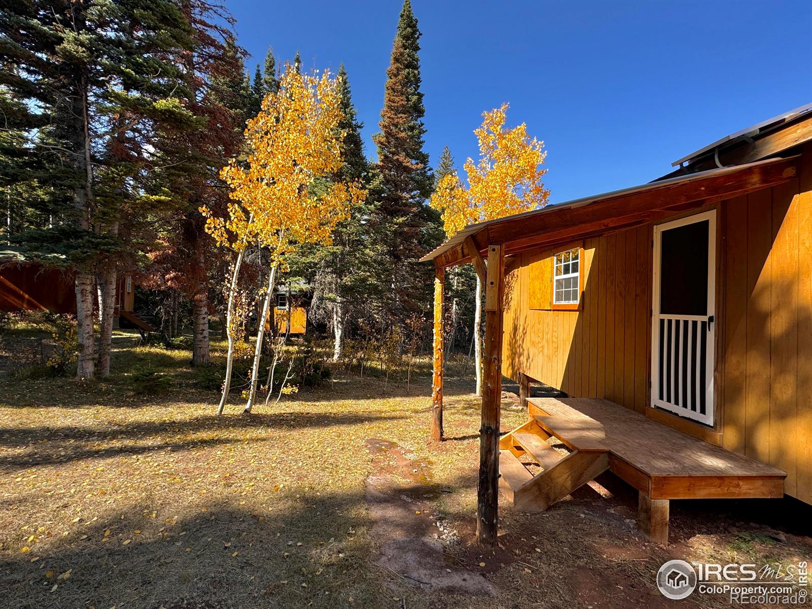 MLS Image #20 for 235  forb lane,red feather lakes, Colorado