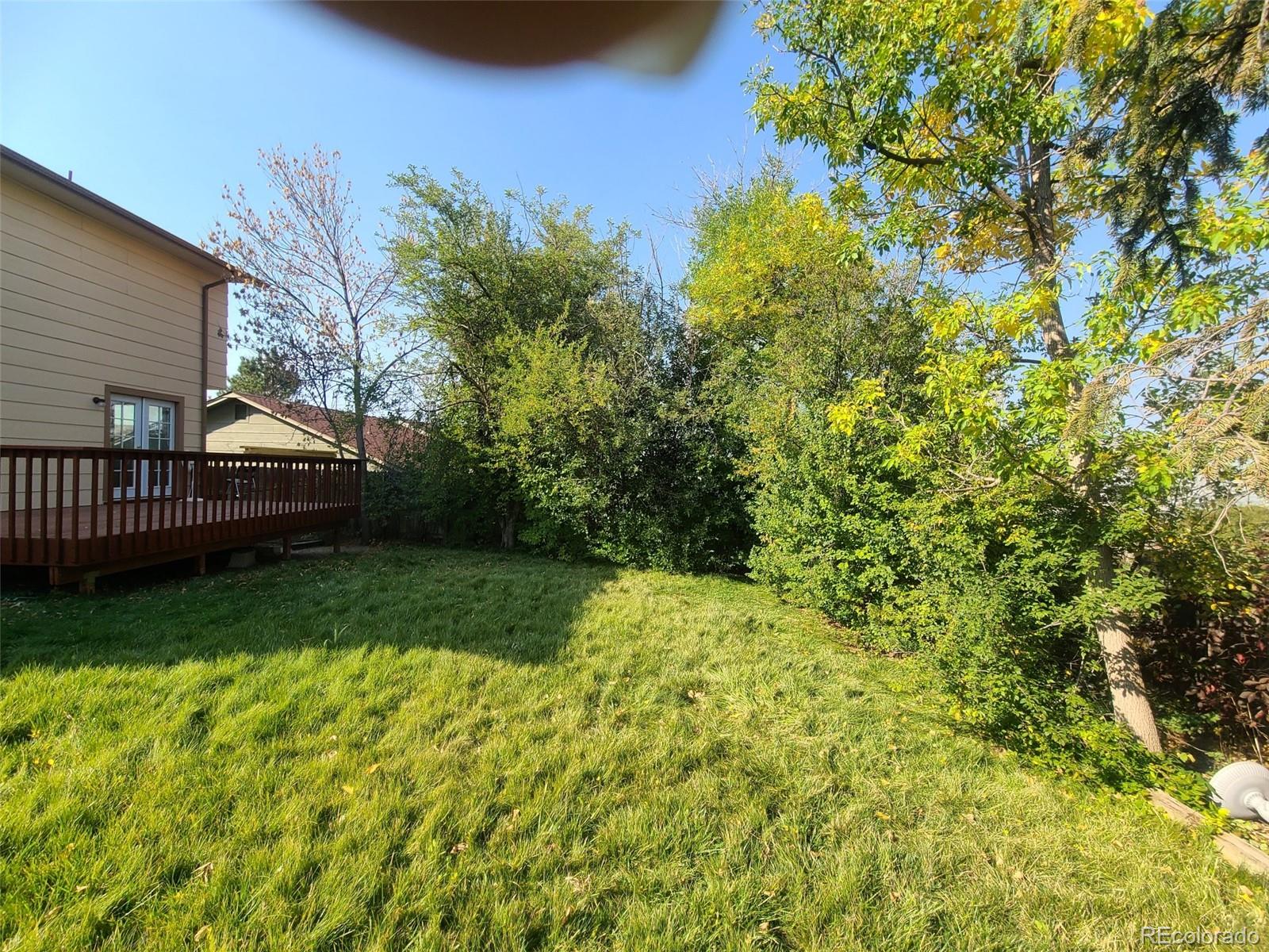 MLS Image #16 for 2205  beacham drive,castle rock, Colorado