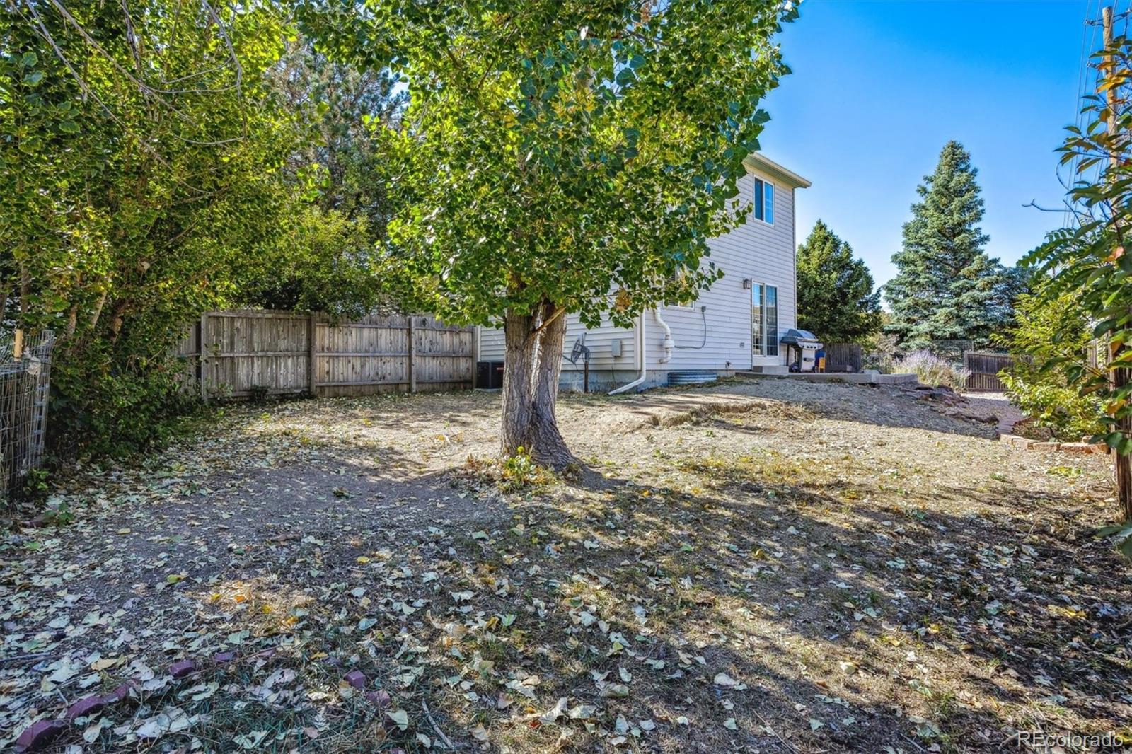 MLS Image #29 for 8326  tumblegrass place,parker, Colorado