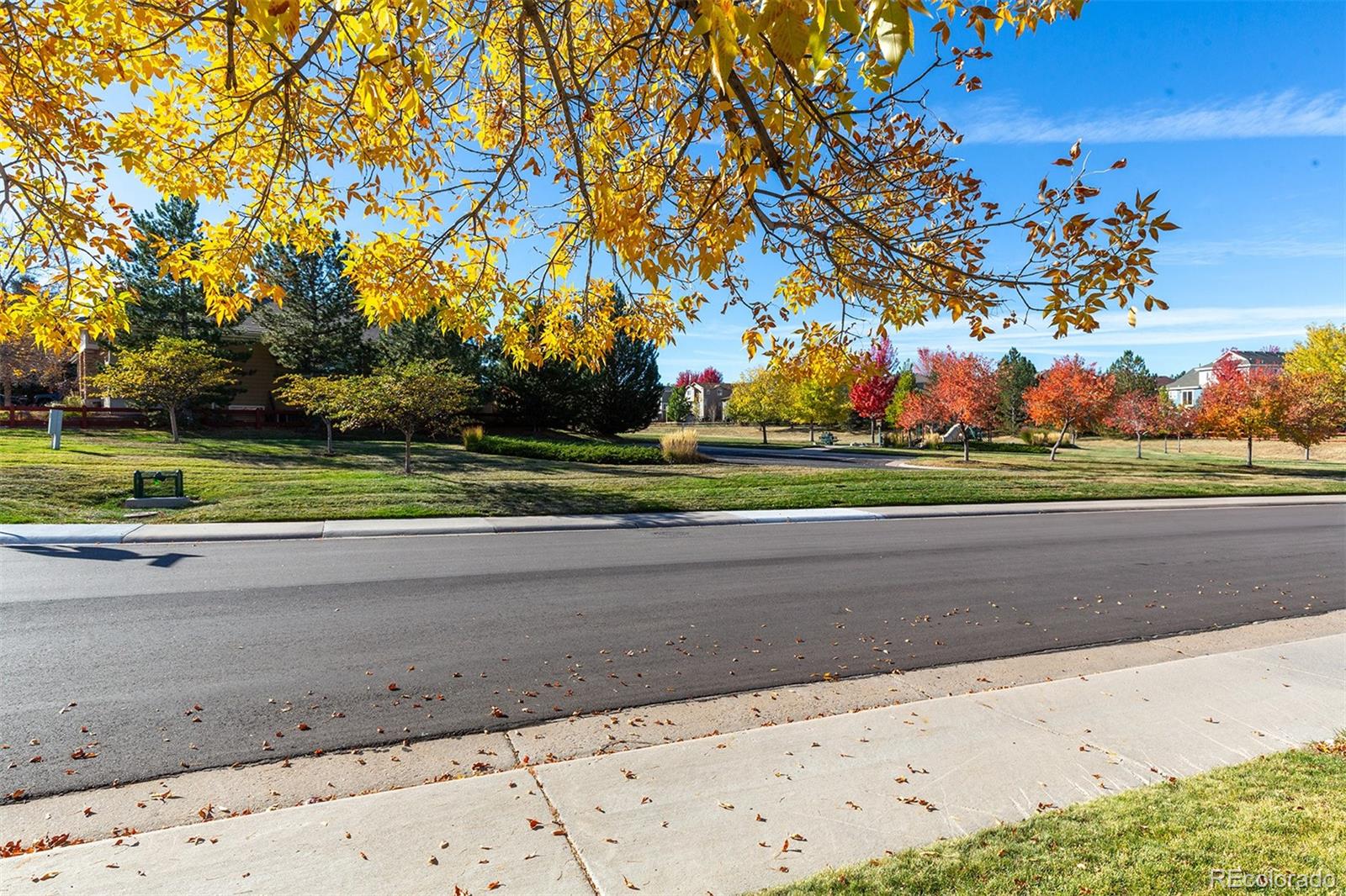 MLS Image #37 for 4201  kellwood drive,castle rock, Colorado