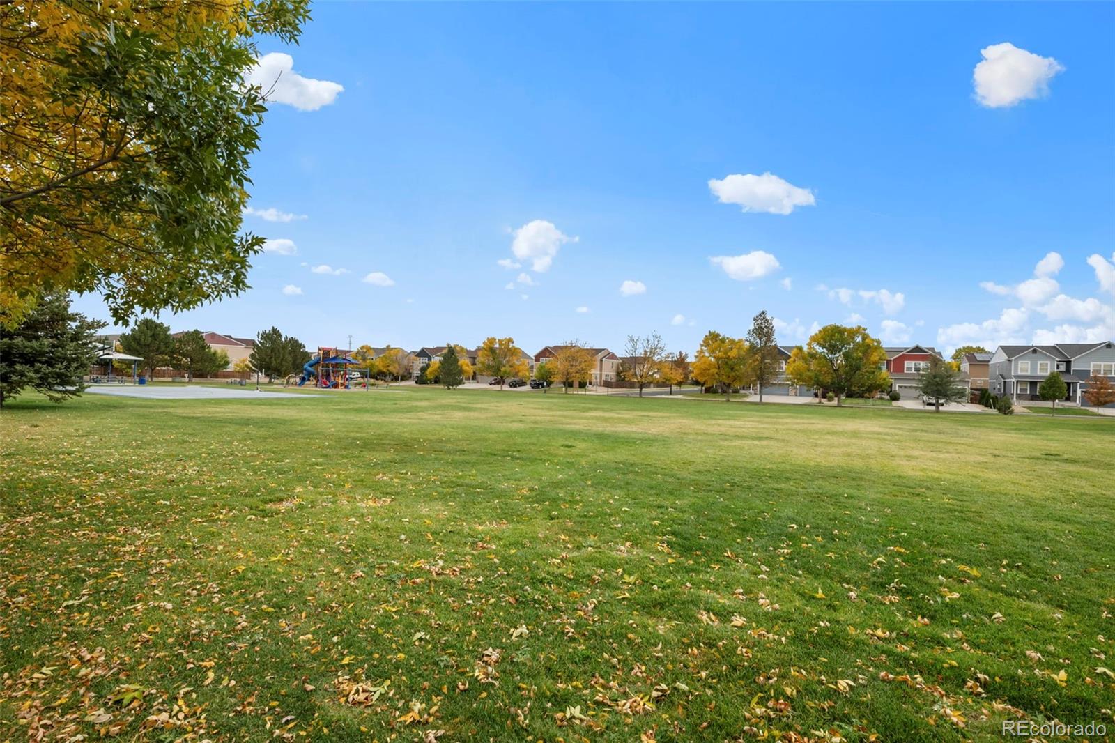 MLS Image #9 for 10073  fairplay street,commerce city, Colorado