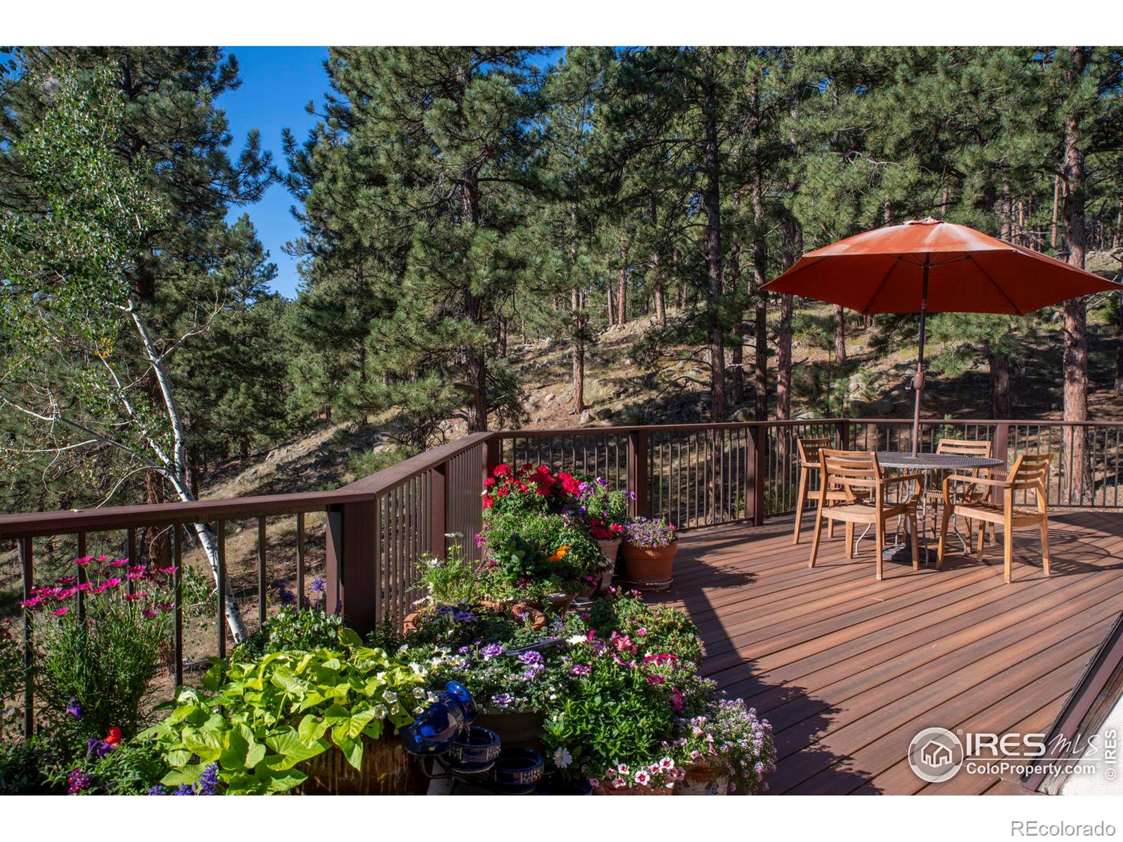 MLS Image #16 for 225  bristlecone way,boulder, Colorado