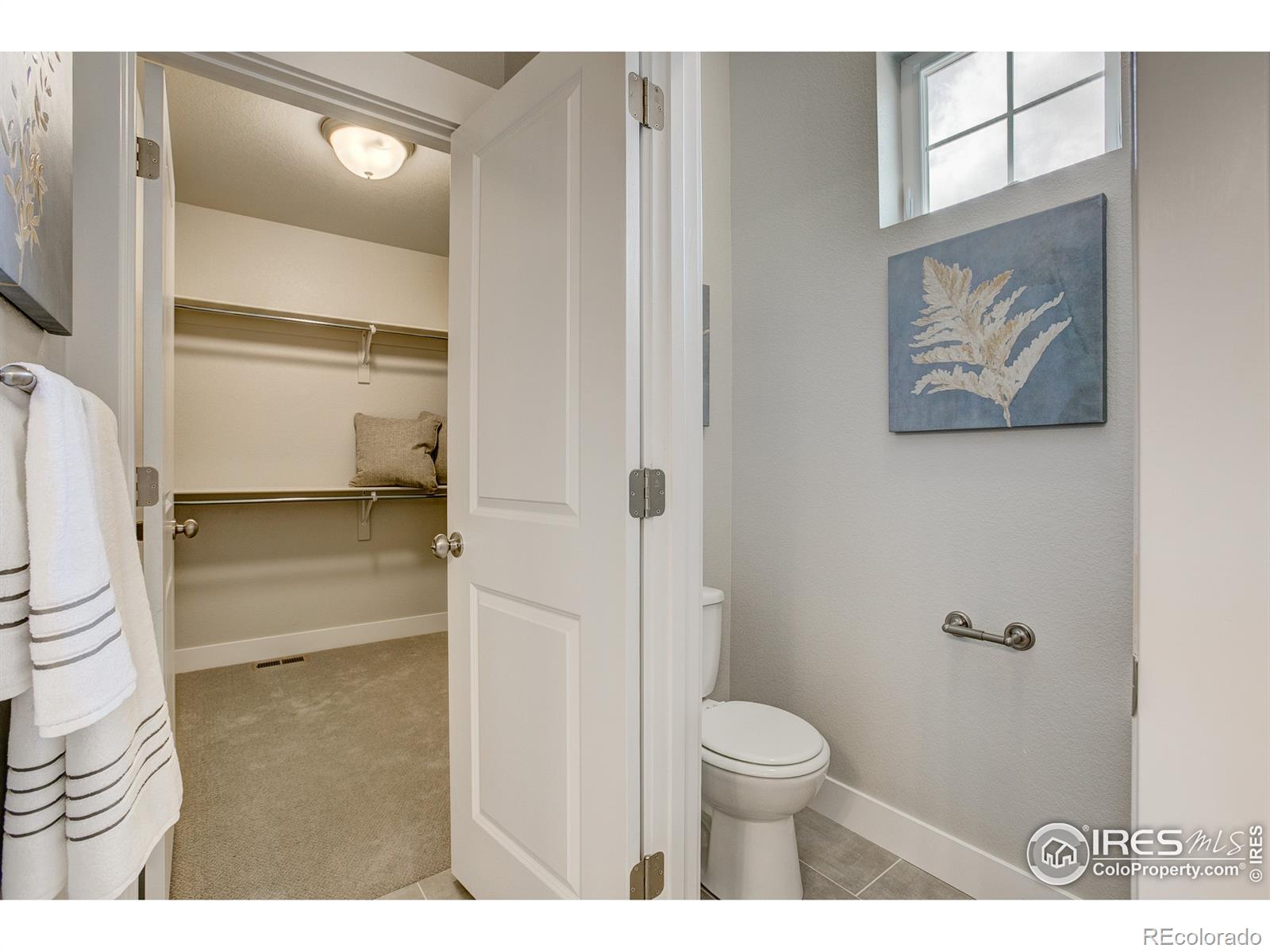 MLS Image #24 for 4176  trapper lake drive,loveland, Colorado