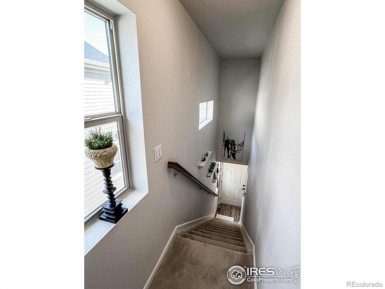 MLS Image #14 for 1135  hummingbird circle,longmont, Colorado