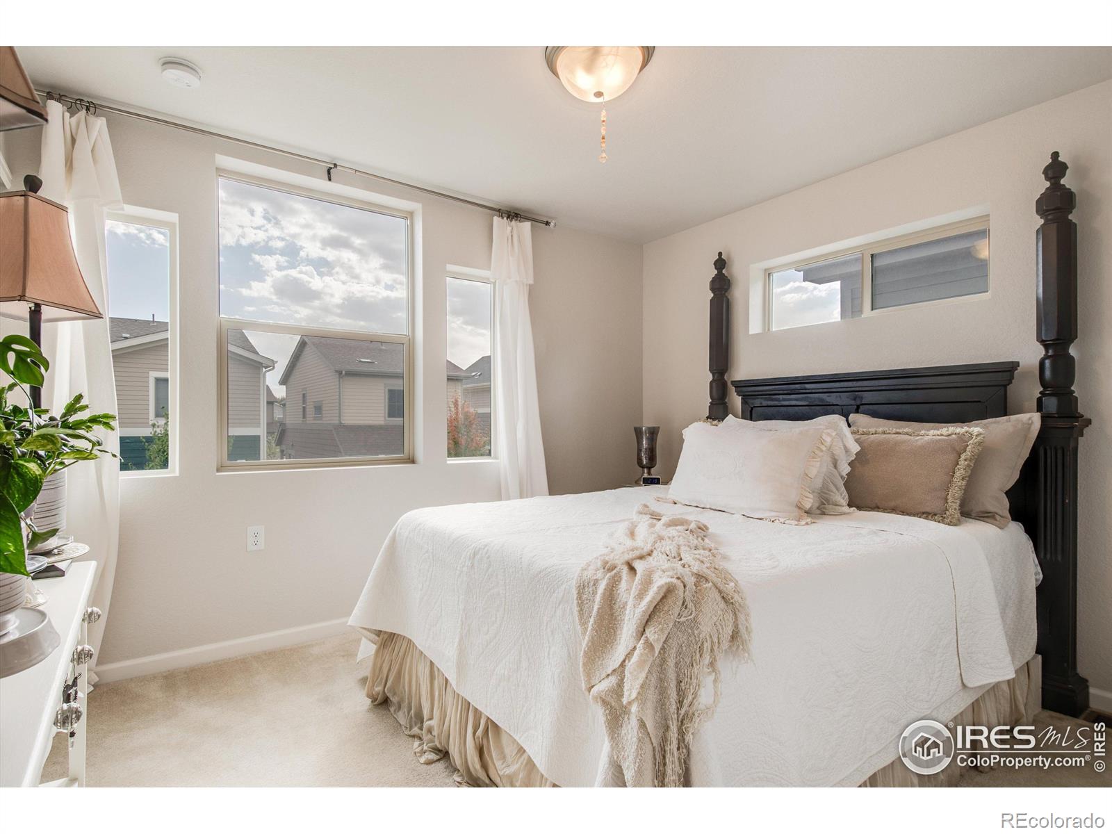 MLS Image #17 for 1135  hummingbird circle,longmont, Colorado