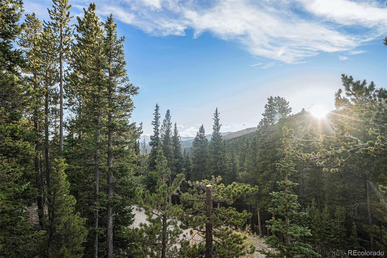 MLS Image #16 for 200  crest drive,idaho springs, Colorado