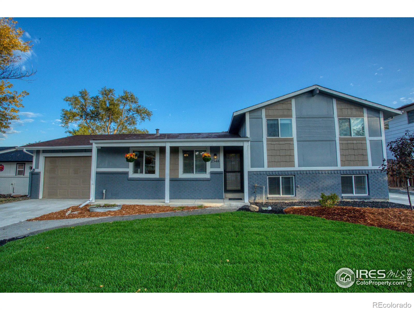 MLS Image #4 for 2546  wedgewood avenue,longmont, Colorado