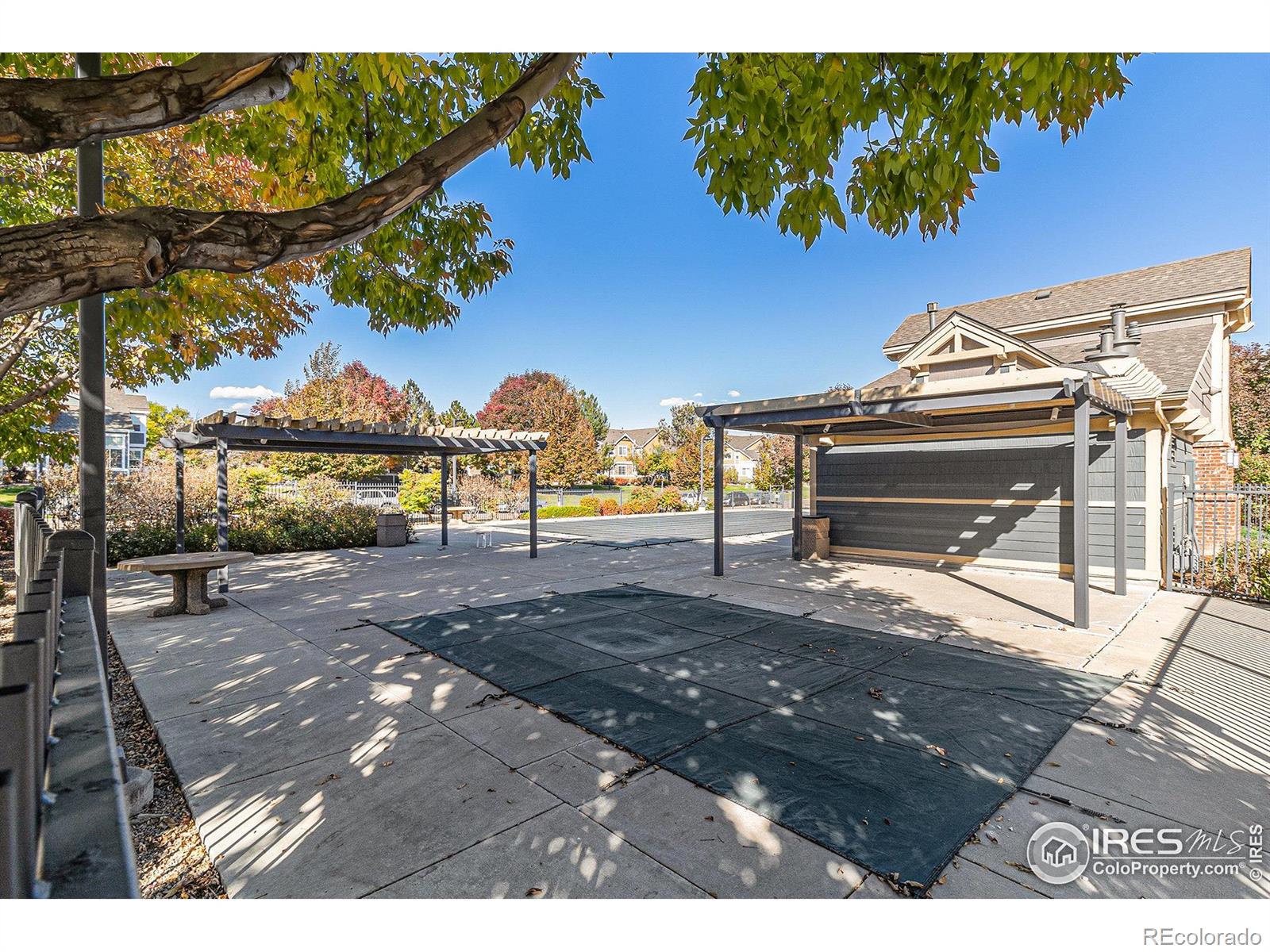 MLS Image #16 for 804  summer hawk drive,longmont, Colorado