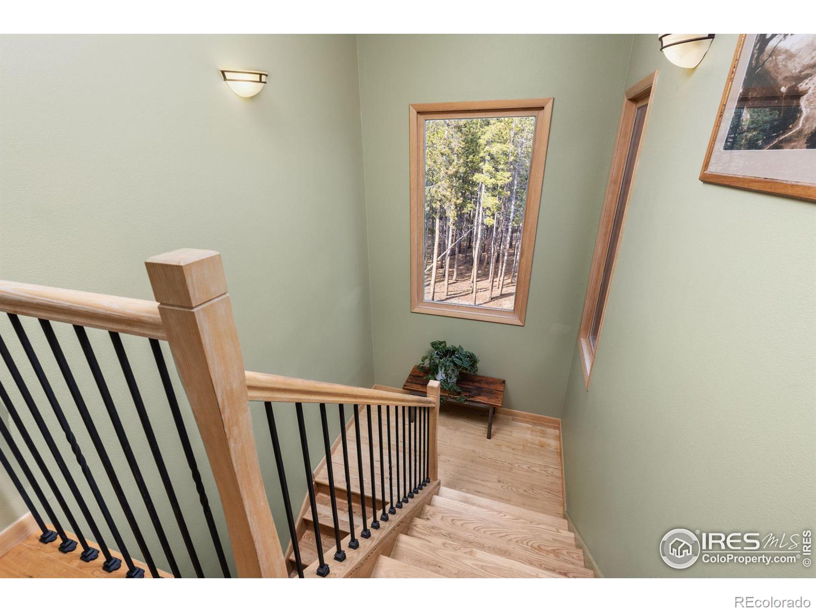 MLS Image #17 for 75  shoshoni way,nederland, Colorado