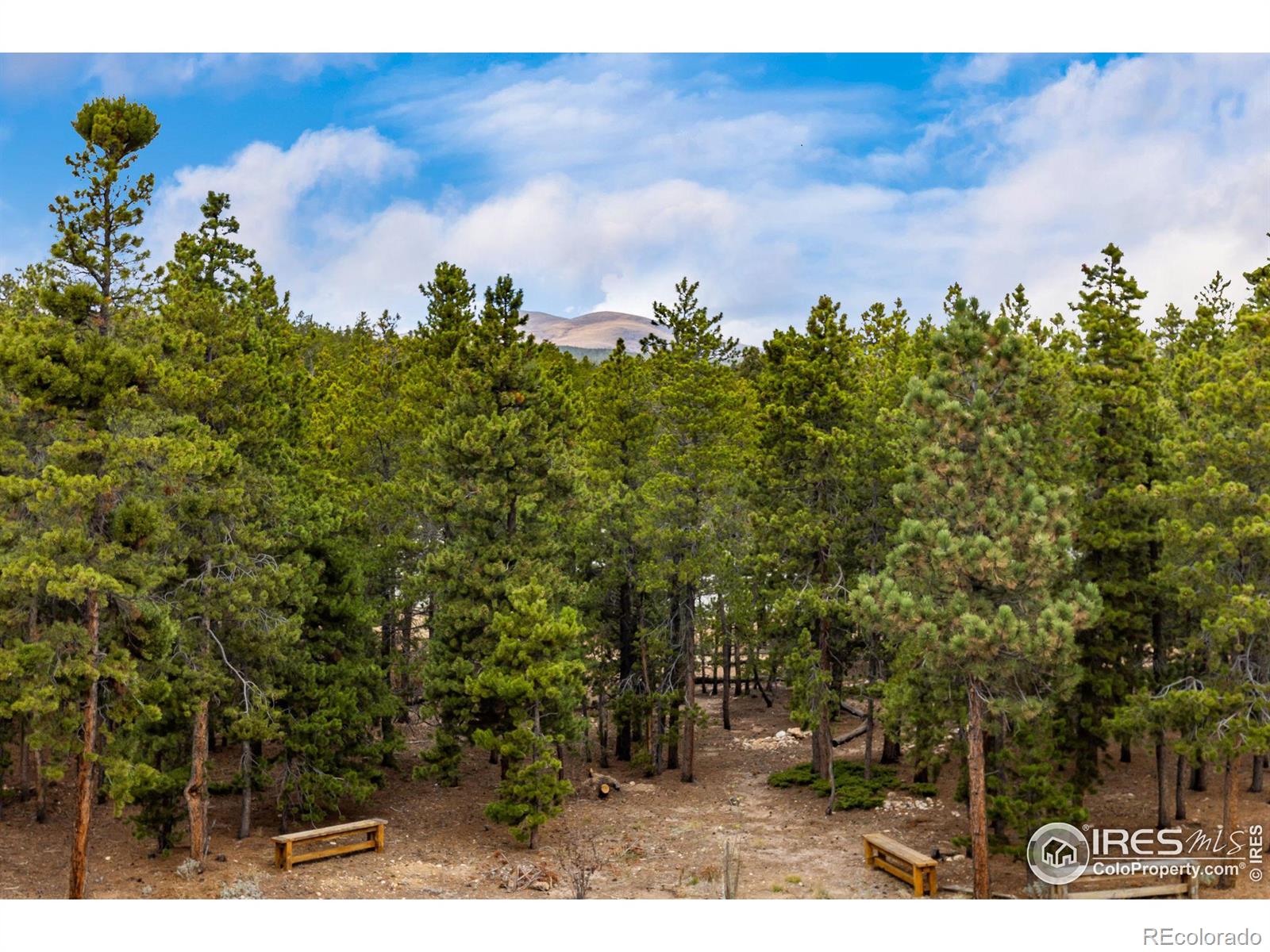 MLS Image #19 for 75  shoshoni way,nederland, Colorado