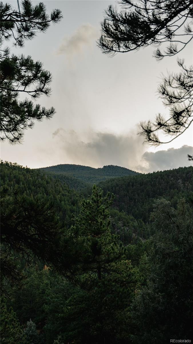 MLS Image #47 for 91  cedar drive,lyons, Colorado