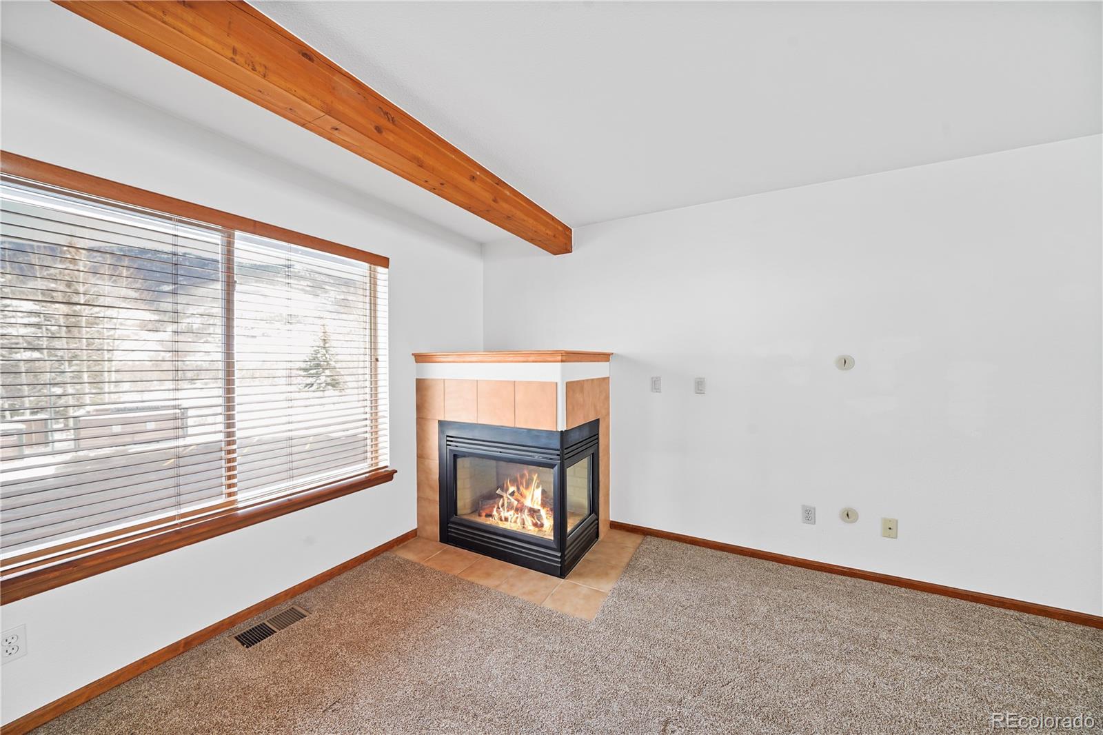 MLS Image #11 for 283  kestrel lane,silverthorne, Colorado