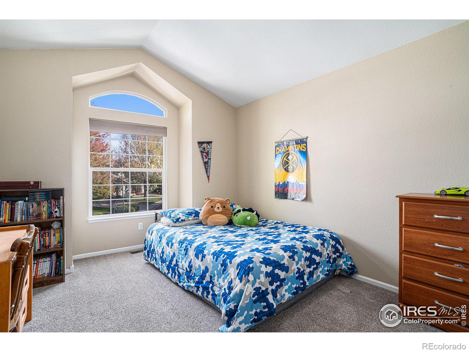 MLS Image #22 for 369  marcy drive,loveland, Colorado