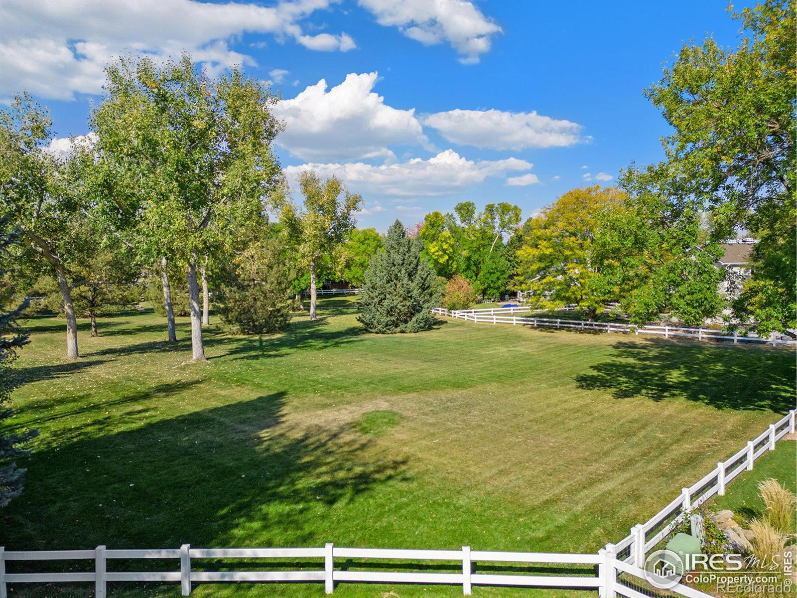 MLS Image #38 for 369  marcy drive,loveland, Colorado